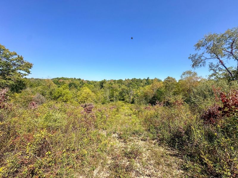 0 Black Road , Hopewell, OH 43746 Photo 9