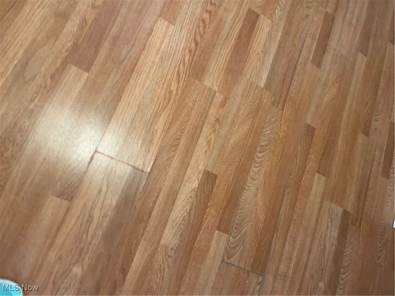 1516 Midland Avenue, Youngstown, OH 44509 Photo 4