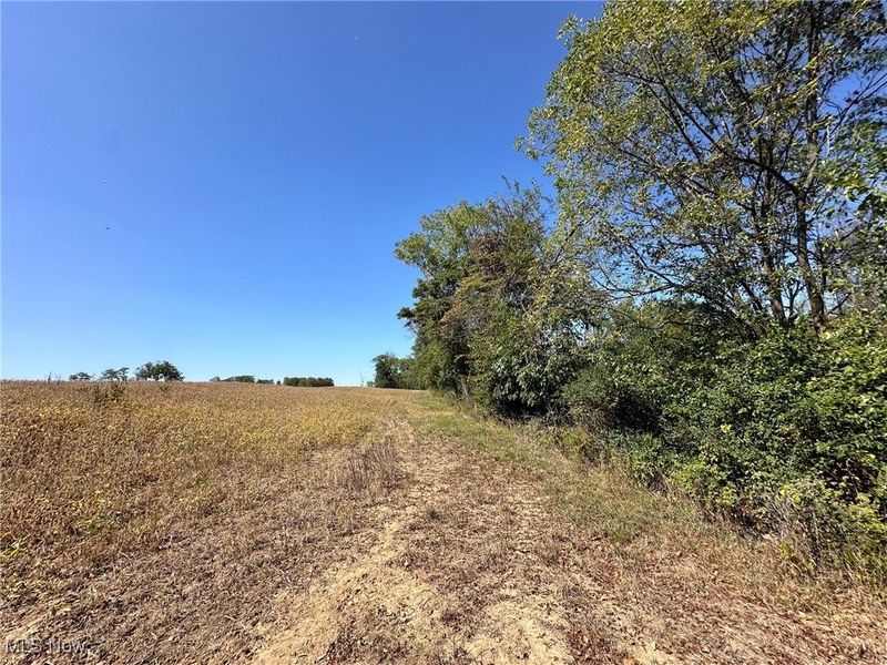 0 Black Road, Hopewell, OH 43746 Photo 13