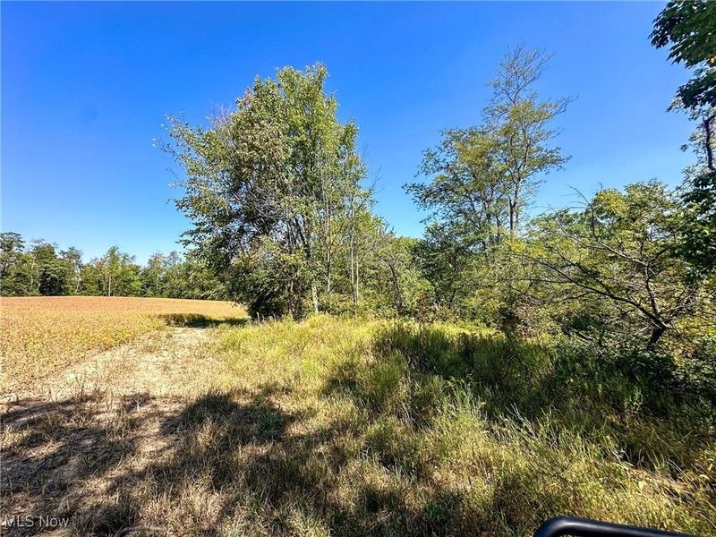 0 Black Road, Hopewell, OH 43746 Photo 15