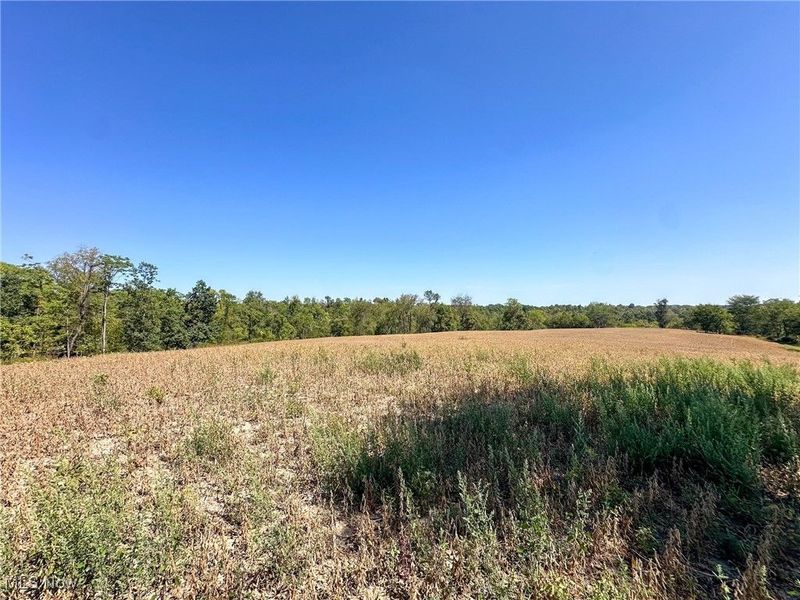 0 Black Road, Hopewell, OH 43746 Photo 2