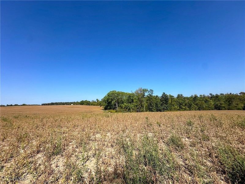 0 Black Road, Hopewell, OH 43746 Photo 3