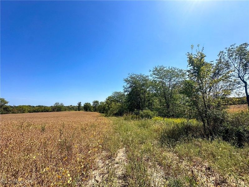 0 Black Road, Hopewell, OH 43746 Photo 4