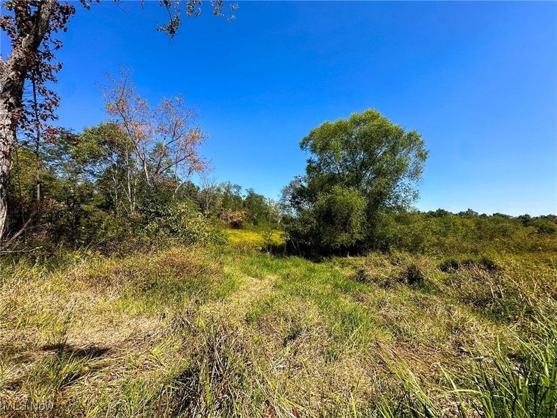 0 Black Road, Hopewell, OH 43746 Photo 7