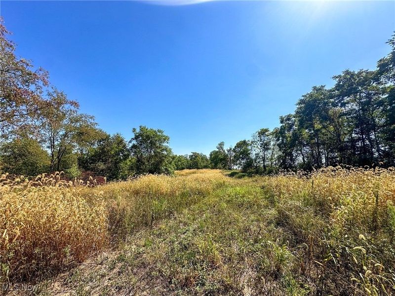 0 Black Road, Hopewell, OH 43746 Photo 8