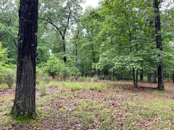 Lot 5 Lakeview Drive , Bull Shoals, AR 72619