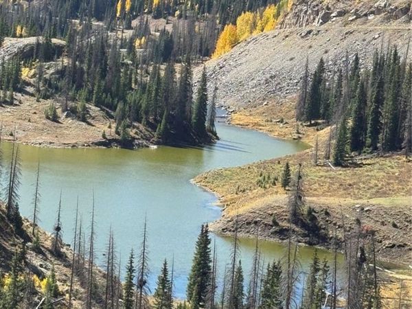 00 FSR 247, Antonito, CO 81120