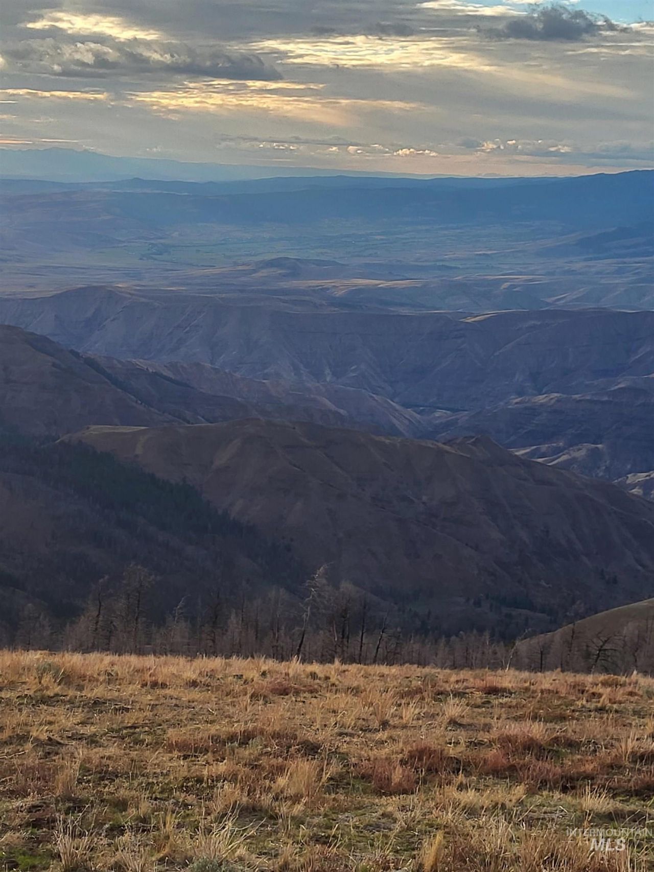 00 Cuddy Mountain Mineral Land, Cambridge, ID 83610 Main Photo