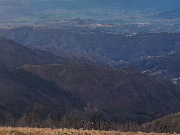 00 Cuddy Mountain Mineral Land, Cambridge, ID 83610