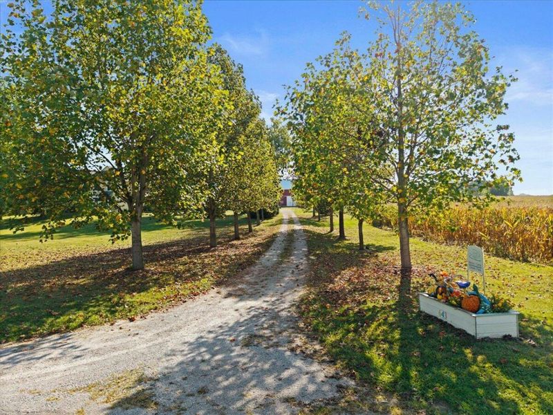 643 Brickel Road , Jamestown, OH 45335 Photo 4