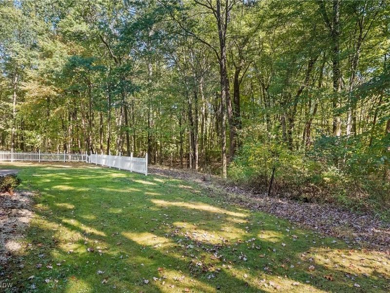 8650 Hidden Hills Drive SE, Howland, OH 44484 Photo 36