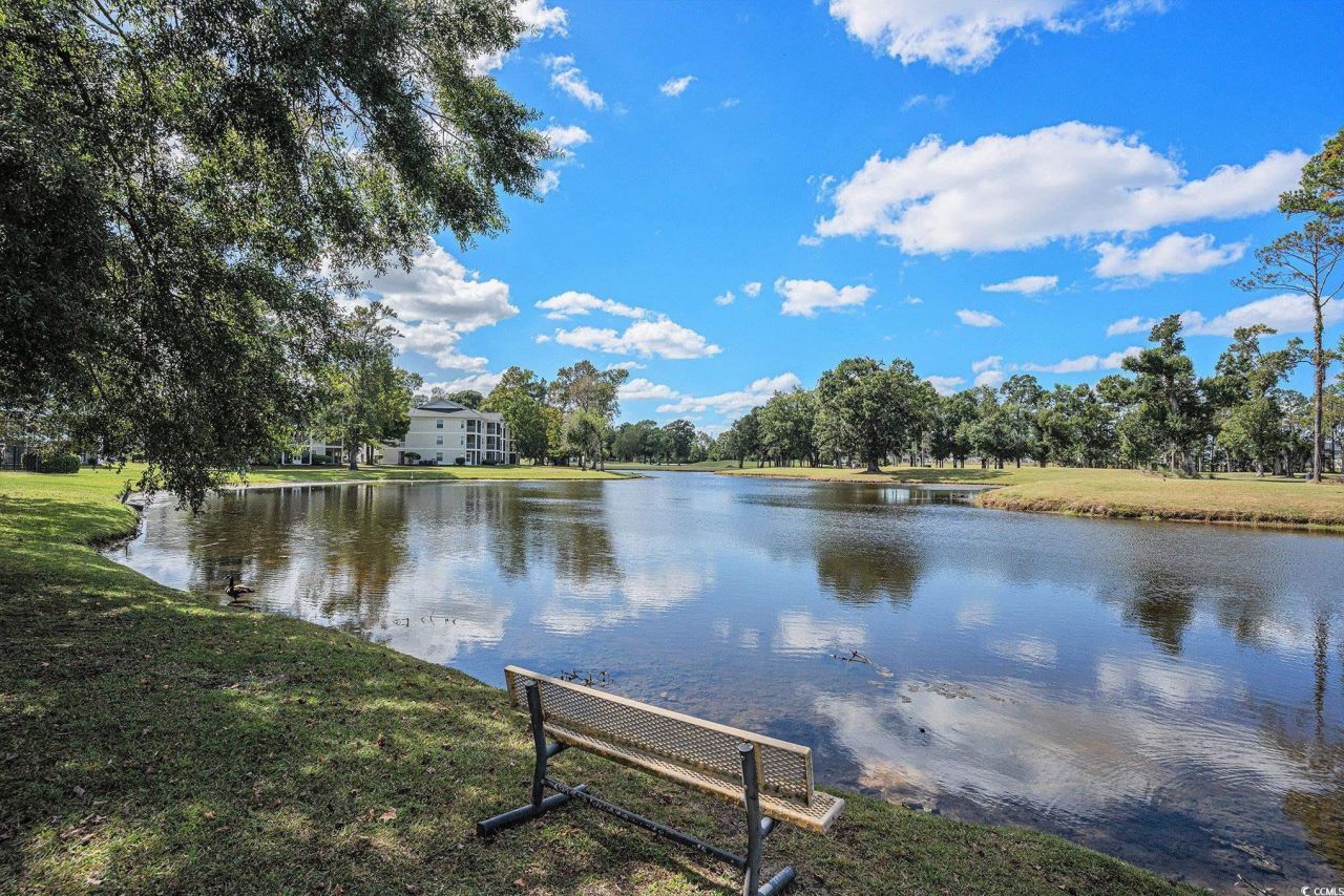 556 White River Dr. Photo 24