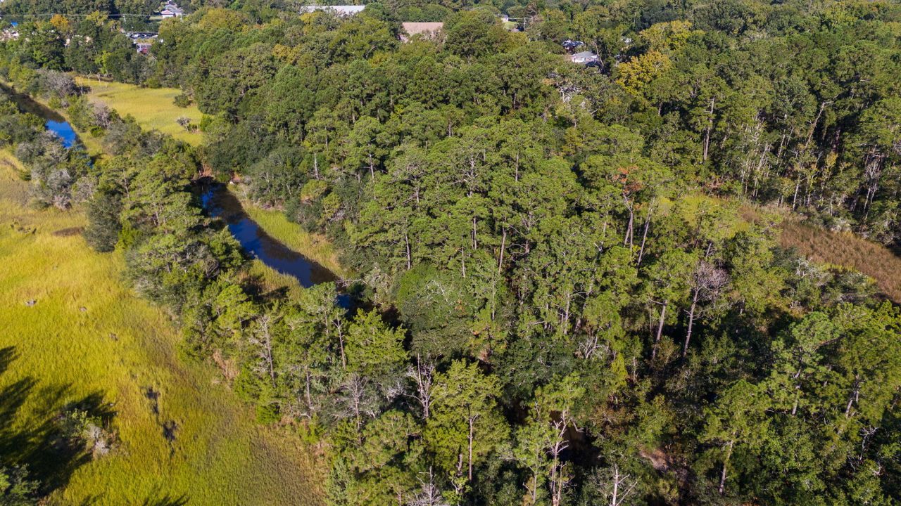 736 Savage Road Photo 32