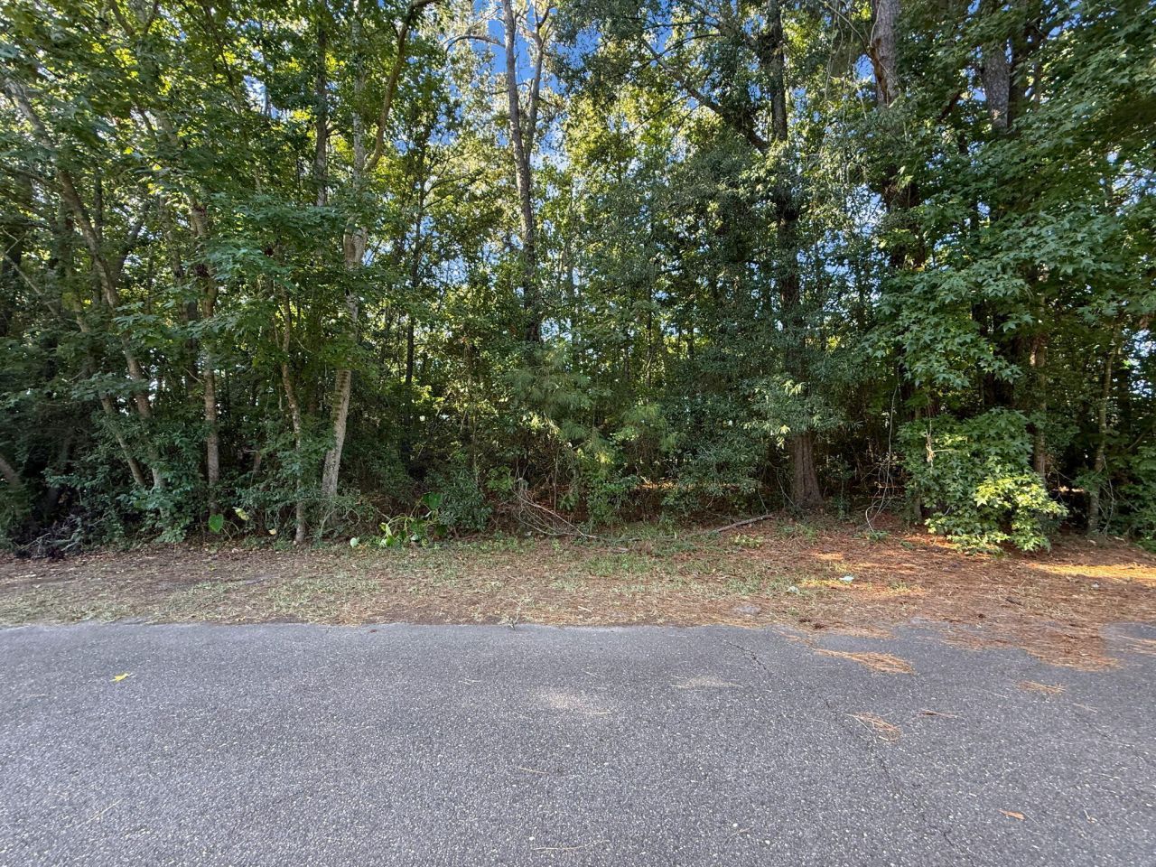 736 Savage Road Photo 37