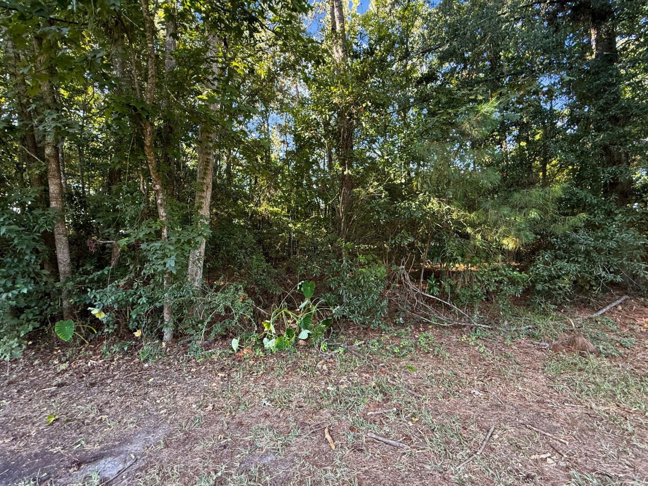 736 Savage Road Photo 38