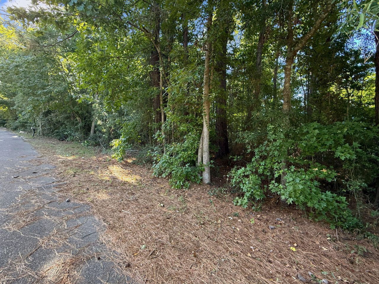 736 Savage Road Photo 8