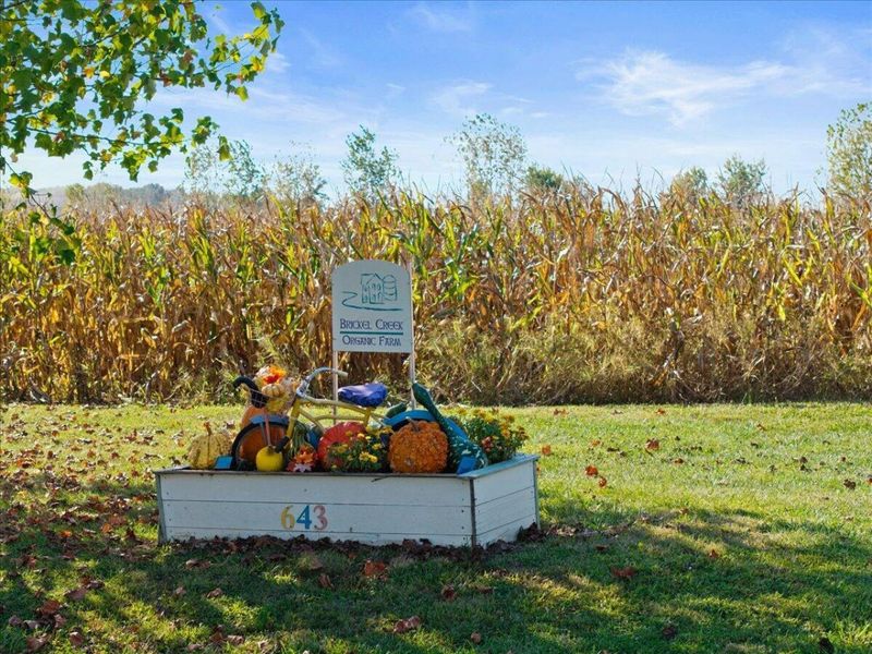 643 Brickel Road , Jamestown, OH 45335 Photo 5