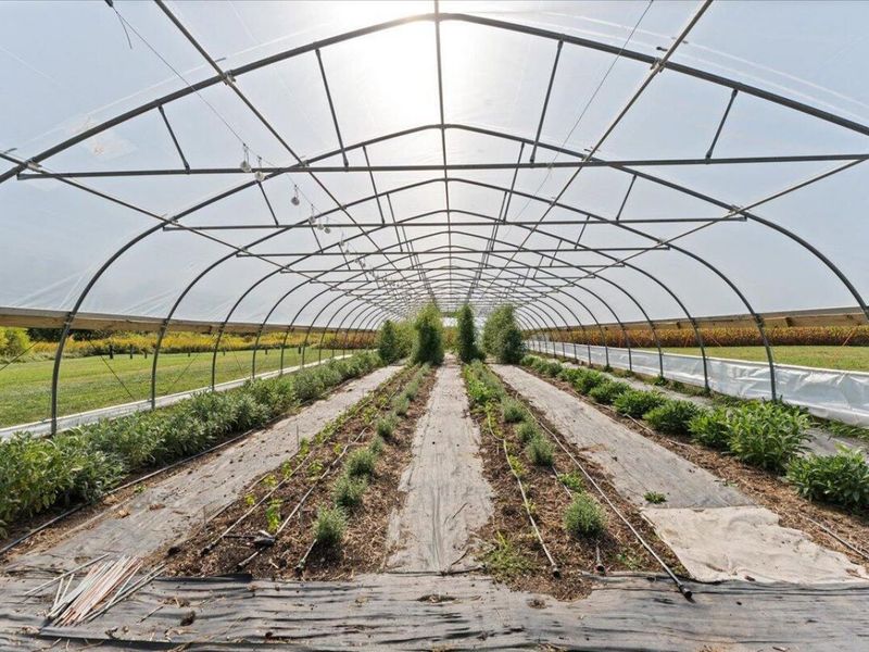 643 Brickel Road , Jamestown, OH 45335 Photo 55