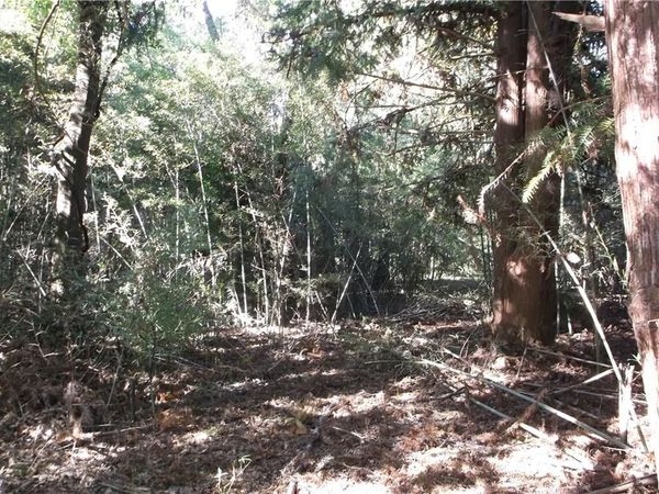 0 Murray Road, Irvington, AL 36544