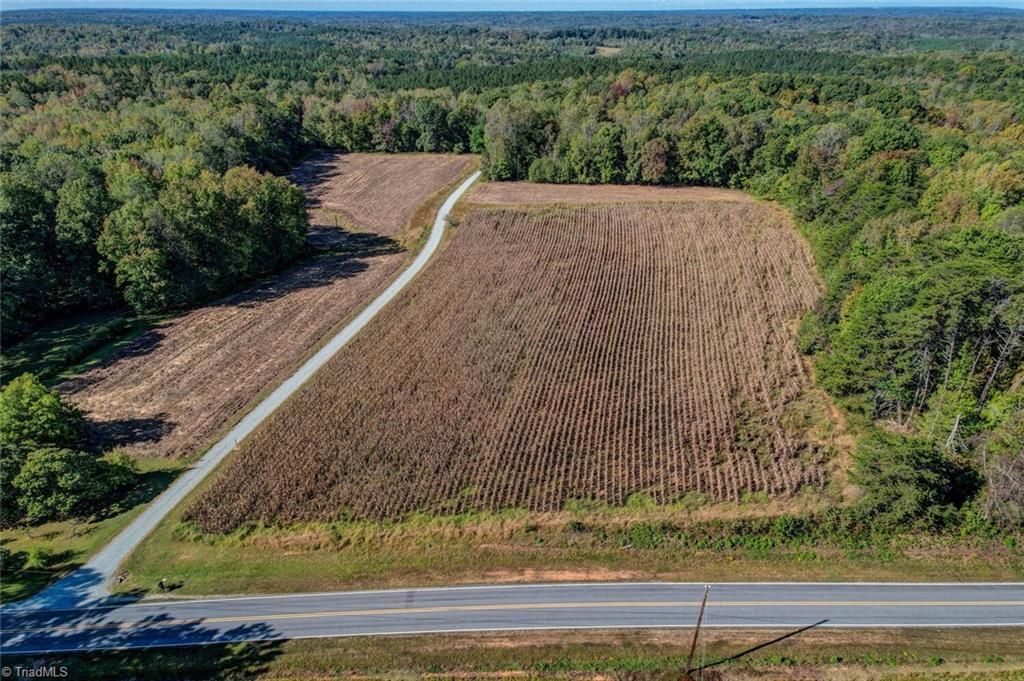 Lot 1 A Joe Cobb Road, Ruffin, NC 27326 Main Photo