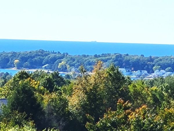 9944 North Slope Drive, Unit 94, Onekama, MI 49675