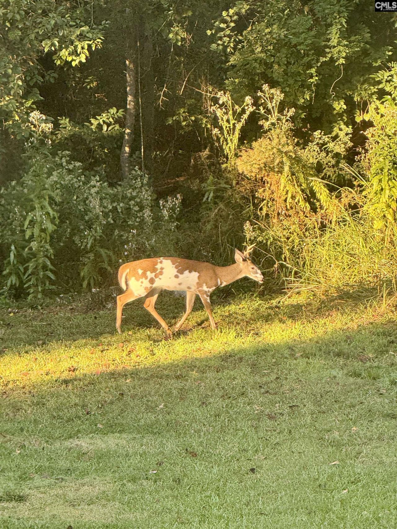 1008 Jones Road Photo 39