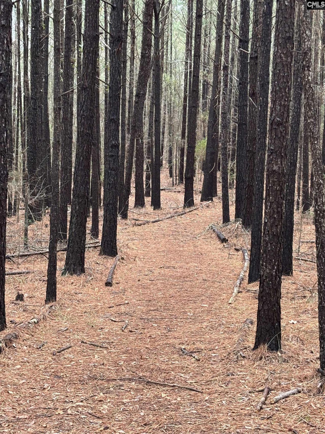 1008 Jones Road Photo 41