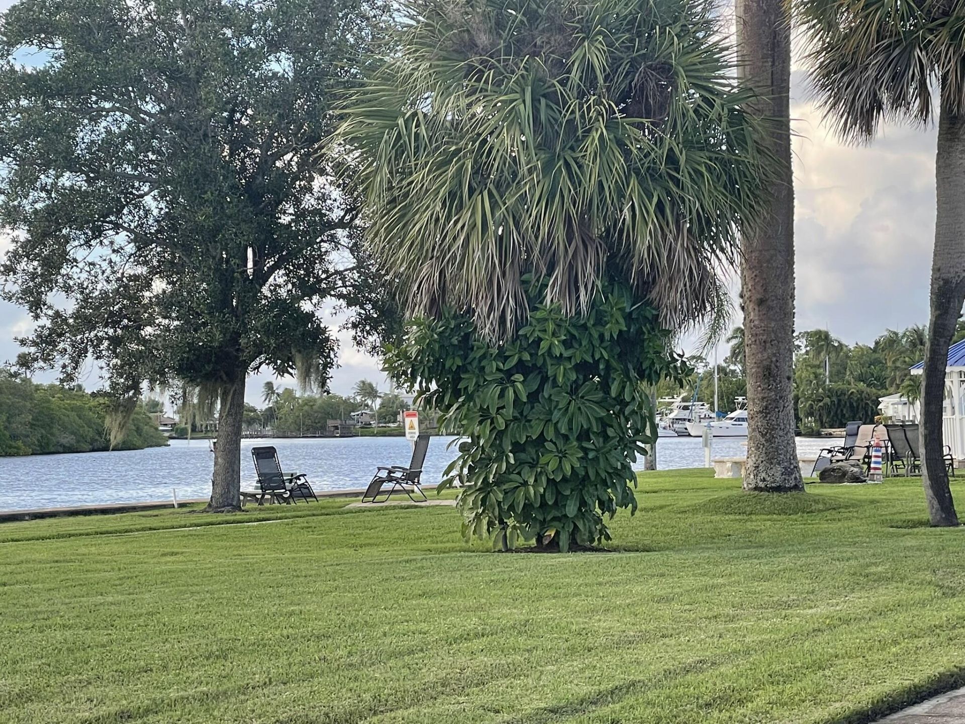 3500 S Kanner Highway, Unit 135, Stuart, FL 34994 Photo