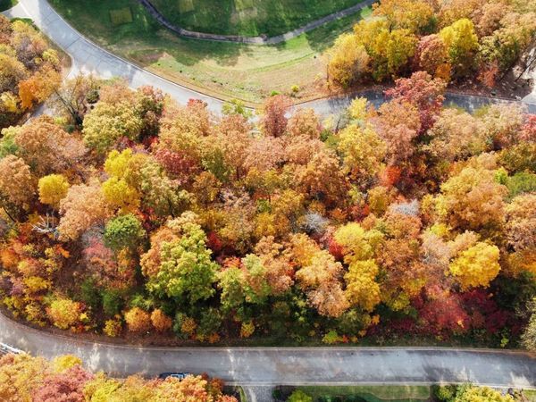 A 7 Winterberry Drive, Clayton, GA 30525