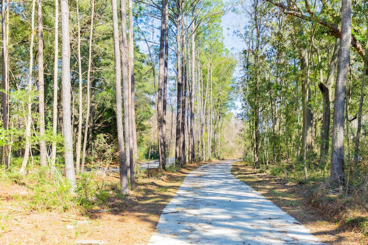 1726 Vireo Court Photo 23