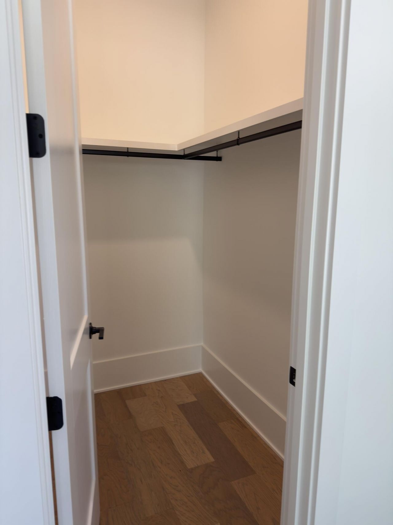 1726 Vireo Court Photo 24