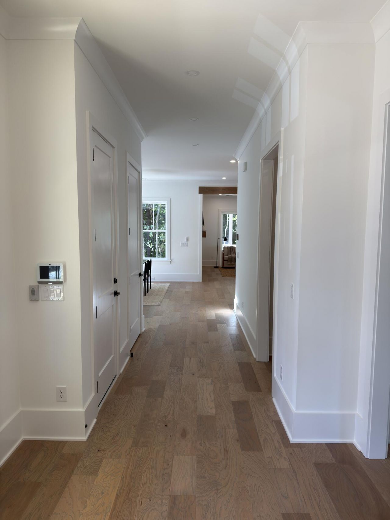 1726 Vireo Court Photo 4