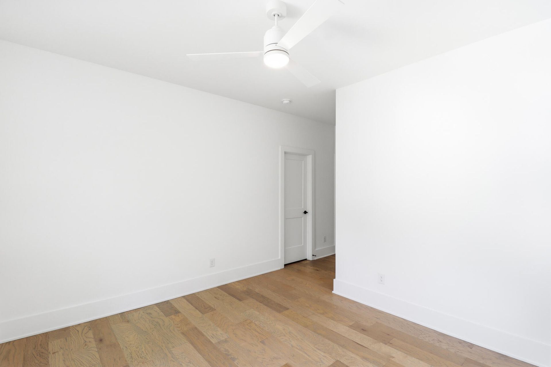 1726 Vireo Court Photo 43