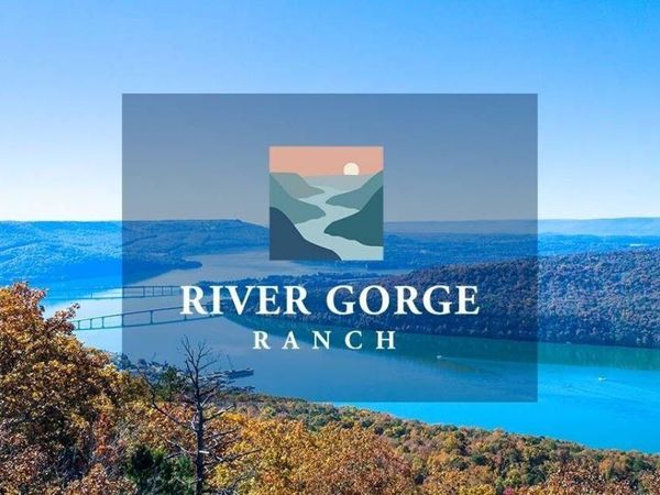 400 Treetop Street, Guild, TN 37340