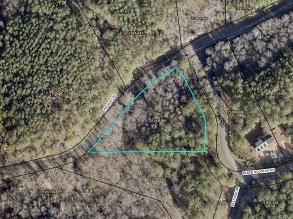 0 Reece Mountain Road, Ellijay, GA 30536