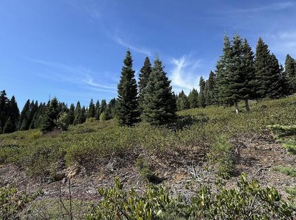 13038 Skislope Way, Truckee, CA 96161 Photo