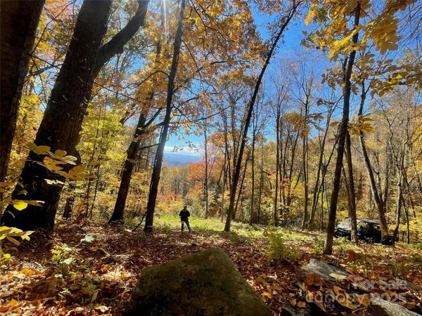 00000 New Sprout Lane, Hendersonville, NC 28792