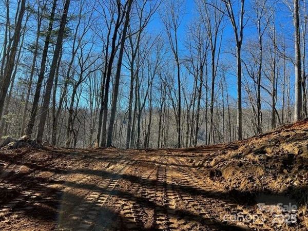 999999 N Pointe Drive, Zirconia, NC 28790