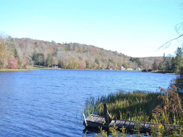 238 Trout Brook Road, Roscoe, NY 12776