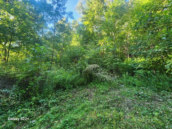 2 Ac 2 Ac Off Midland Trl W Rupert,, Rupert, WV 25984