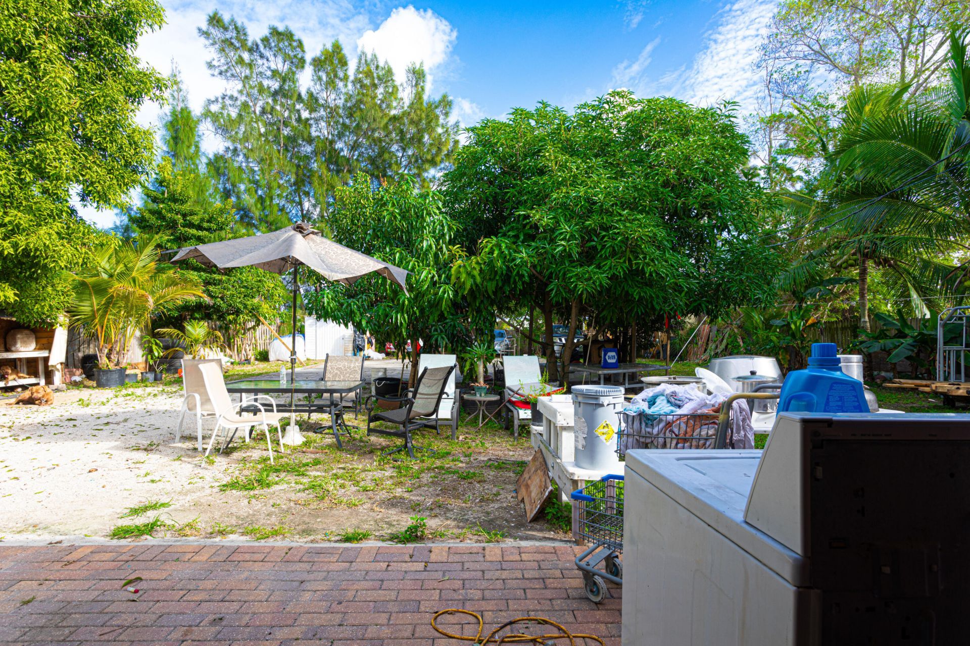 1501 NE 3rd Avenue, Delray Beach, FL 33444 Photo