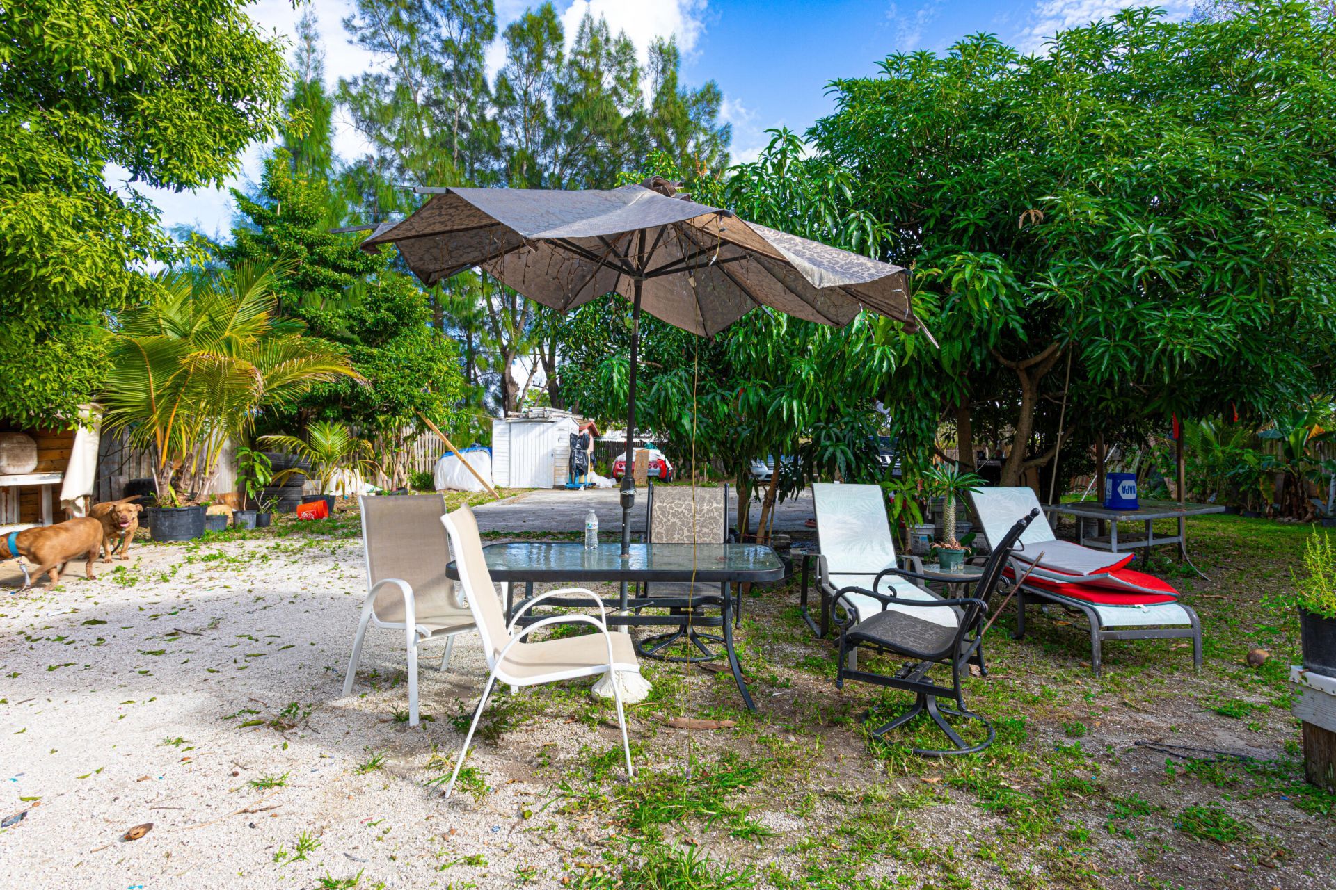 1501 NE 3rd Avenue, Delray Beach, FL 33444 Photo