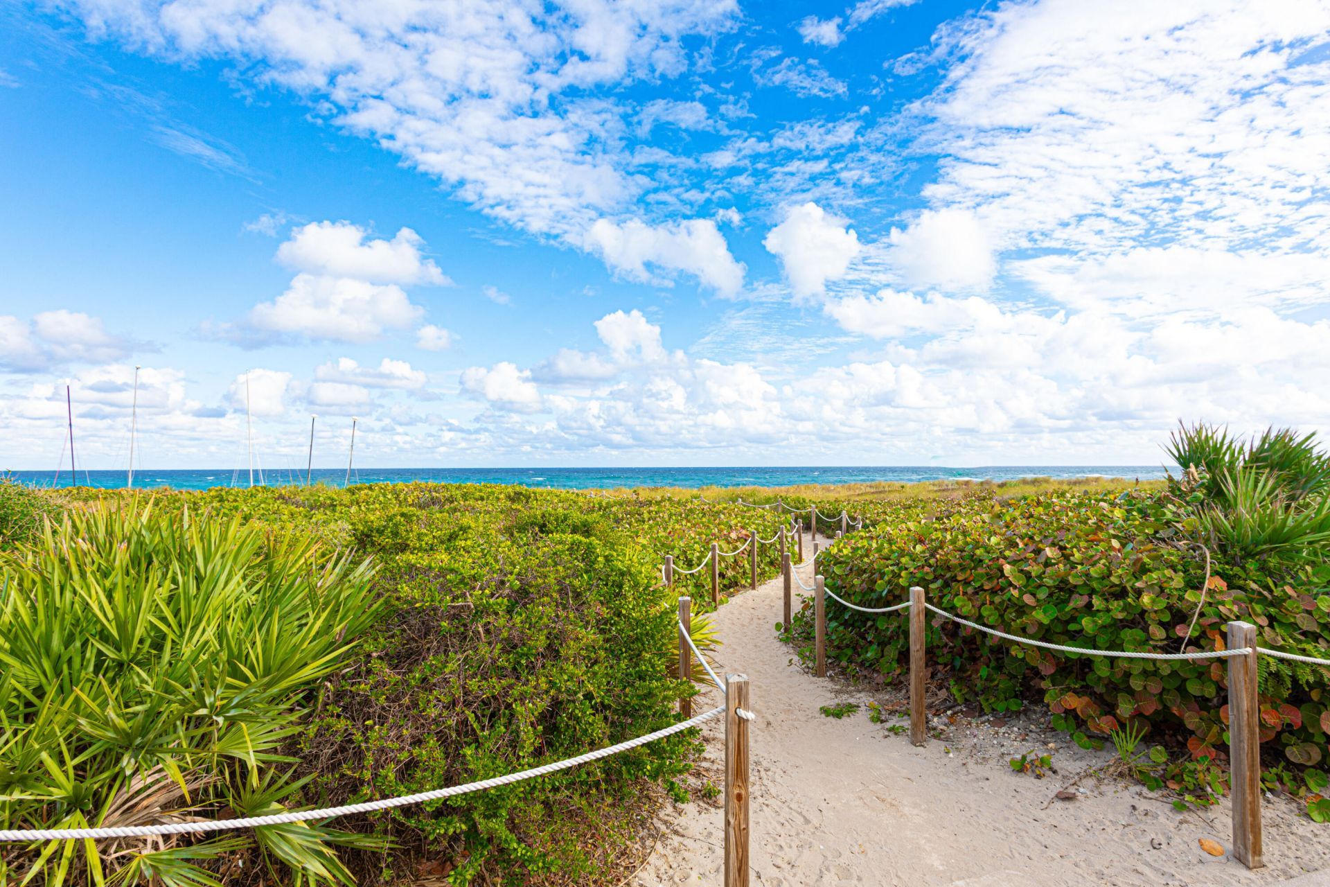 1501 NE 3rd Avenue, Delray Beach, FL 33444 Photo