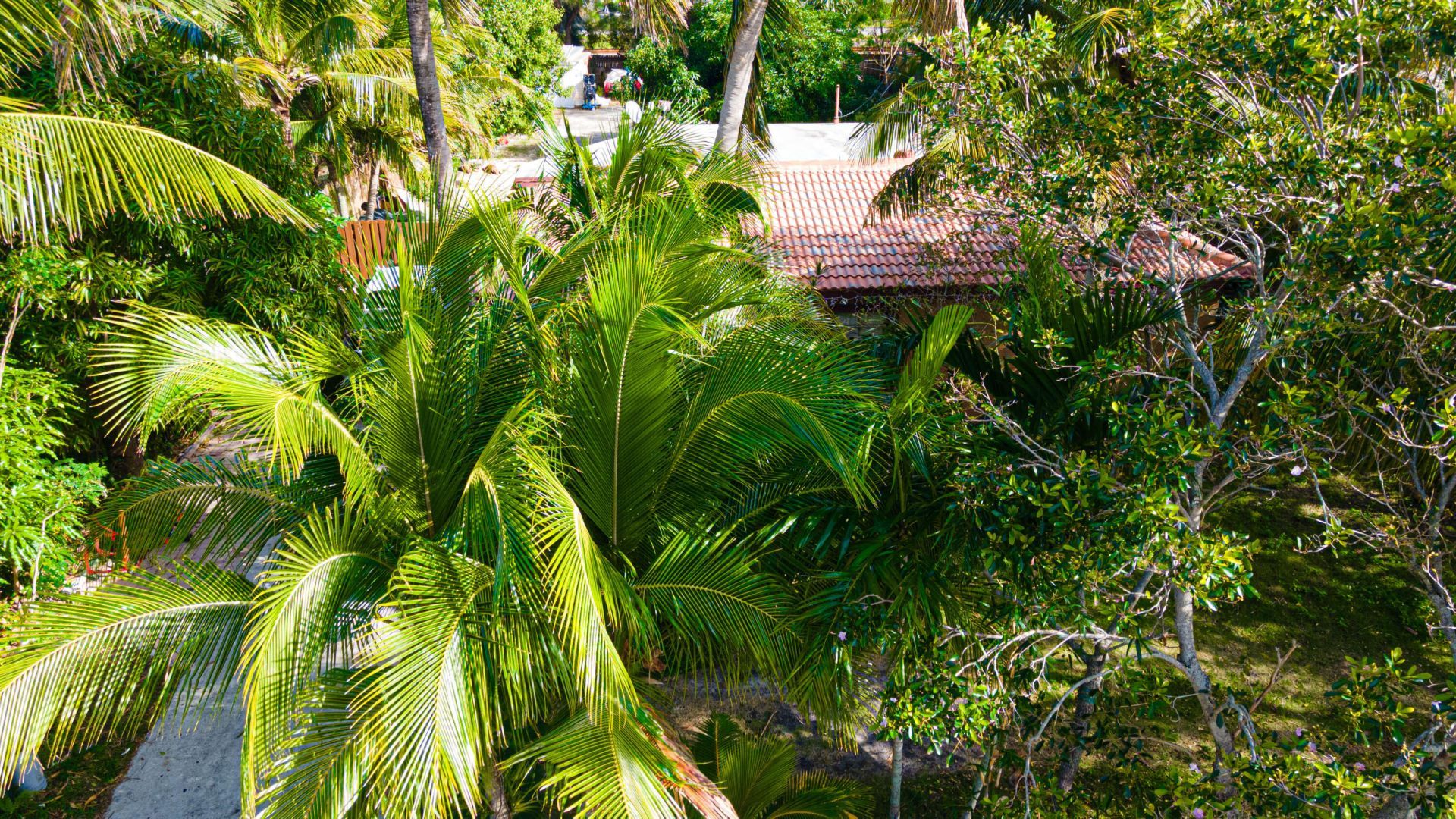 1501 NE 3rd Avenue, Delray Beach, FL 33444 Photo