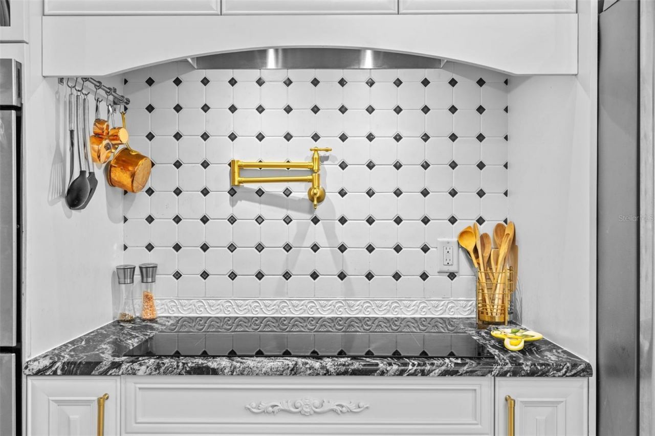 632 Royal Dornock Court, Tarpon Springs, FL 34688 Photo