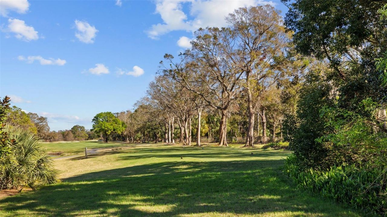 632 Royal Dornock Court, Tarpon Springs, FL 34688 Photo