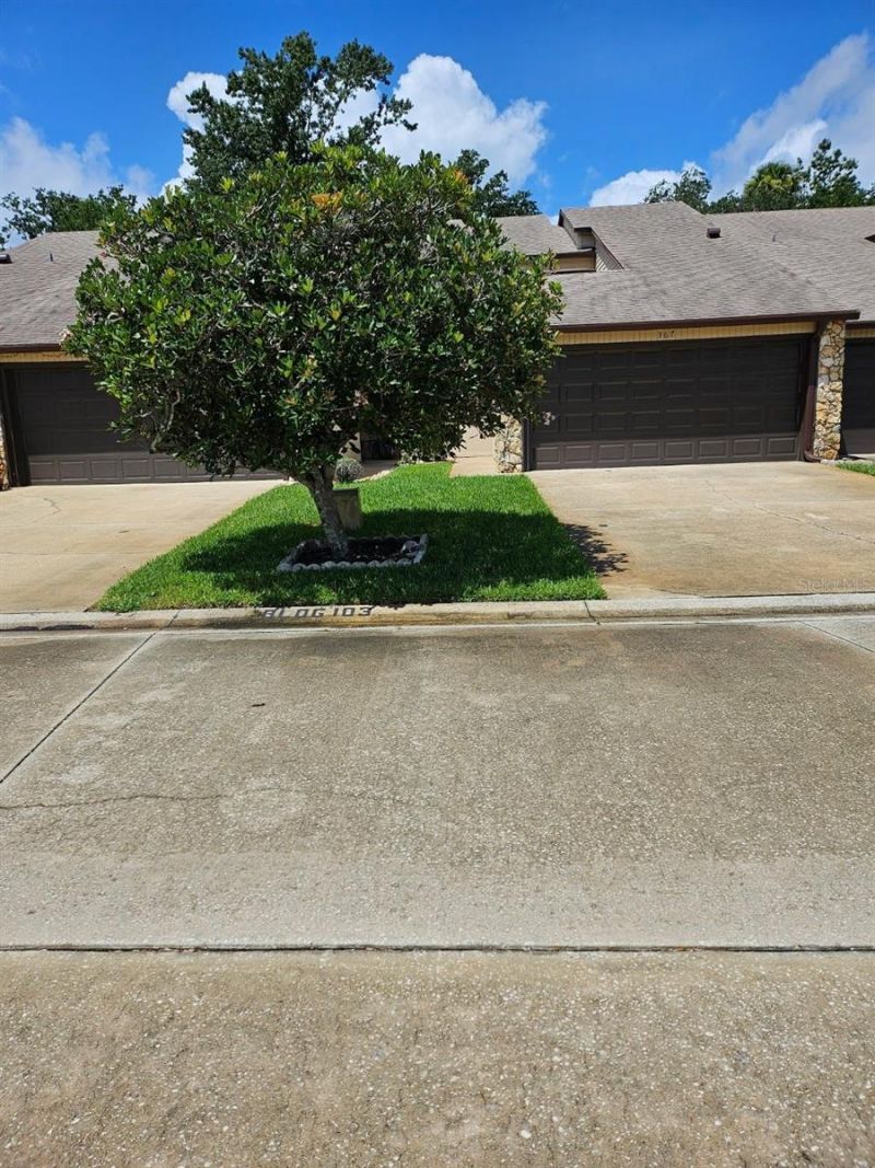 367 Castlewood Lane, New Smyrna Beach, FL 32168 Photo