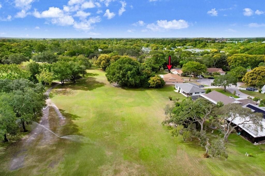 12600 Castleberry Court, Bayonet Point, FL 34667 Photo