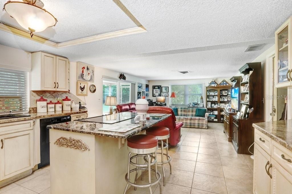 12600 Castleberry Court, Bayonet Point, FL 34667 Photo