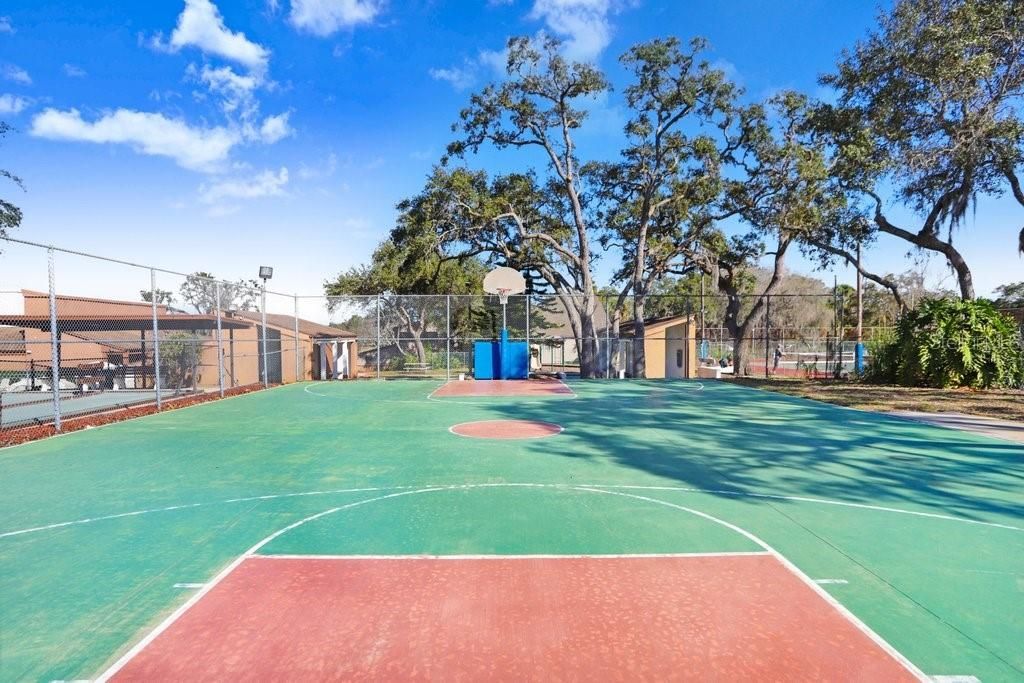 12600 Castleberry Court, Bayonet Point, FL 34667 Photo